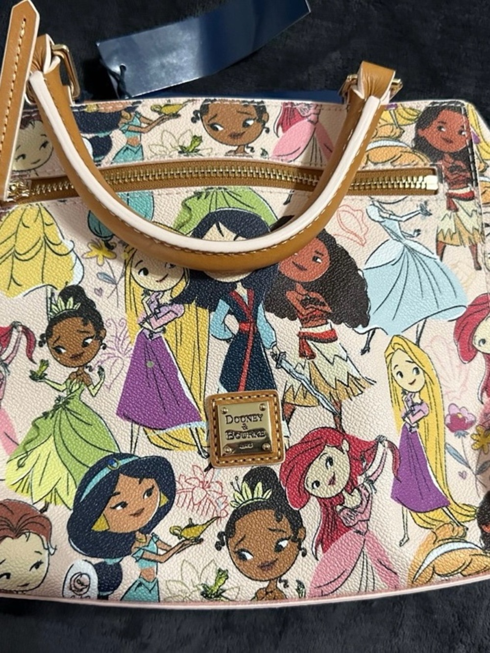 Disney Princess Dooney satchel